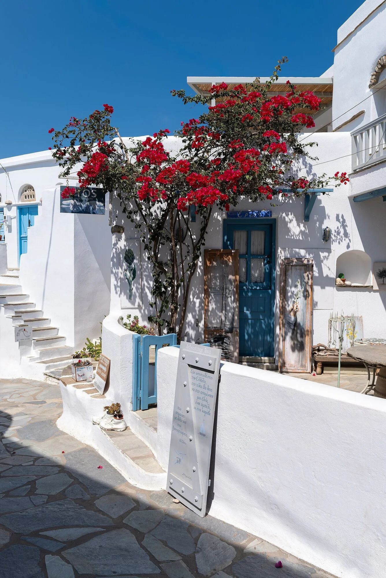 Κόκκινη βουκαμβίλια αναρριχημένη στην πρόσοψη λευκού σπιτιού στην Τήνο